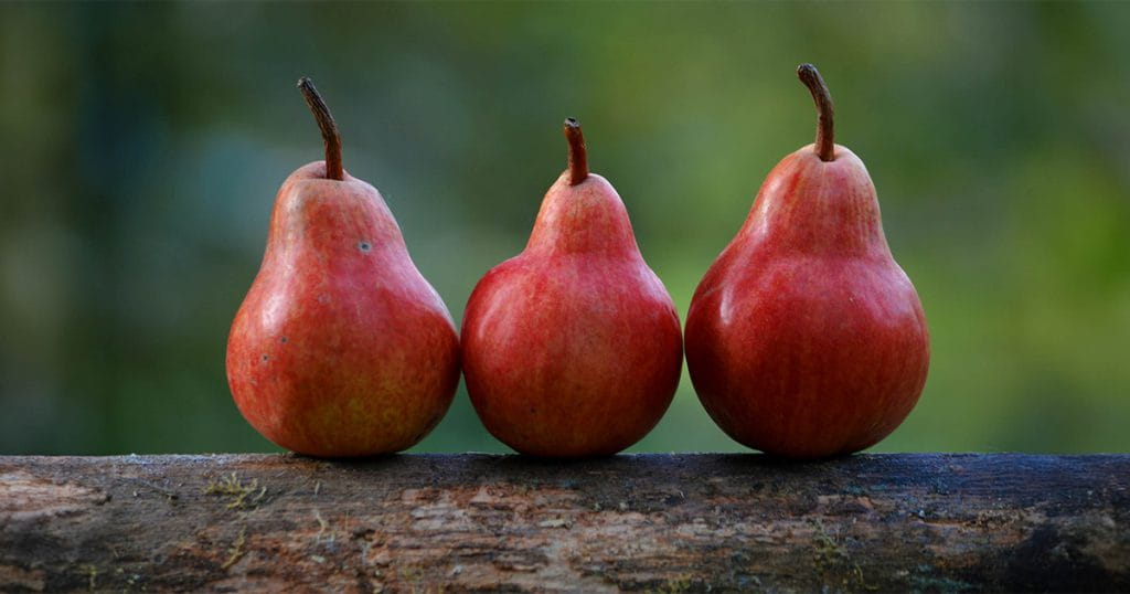Three Red Pairs on a Branch